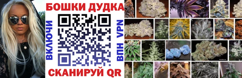Бошки марихуана индика  Мончегорск 